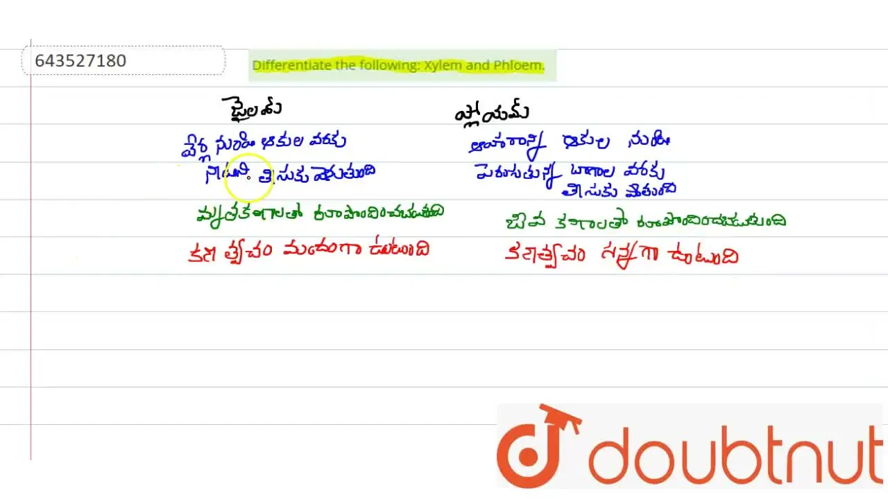 Telugu Solution Differentiate The Following Xylem And Phloem