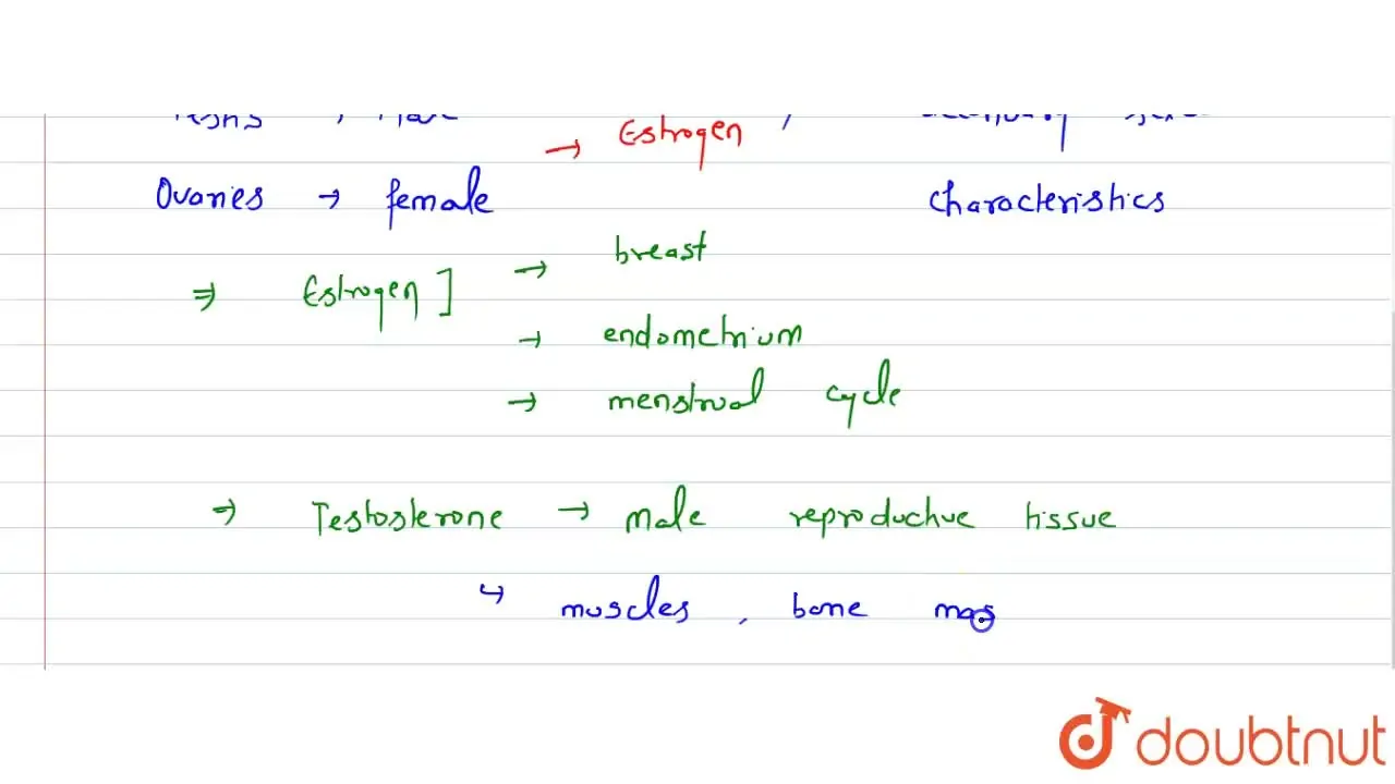 What Are Sex Hormones Why Are They Named So State Their Function
