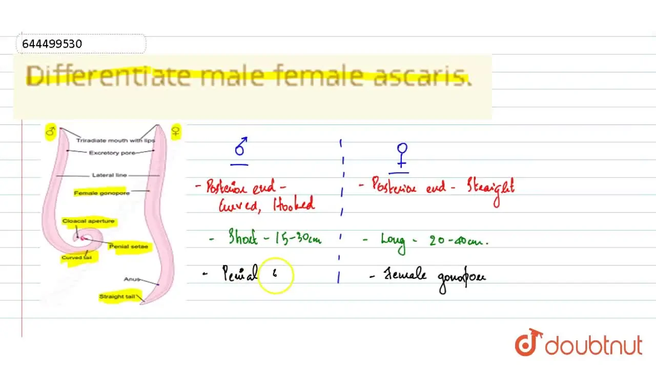 Malayalam Solution Differentiate Male Female Ascaris