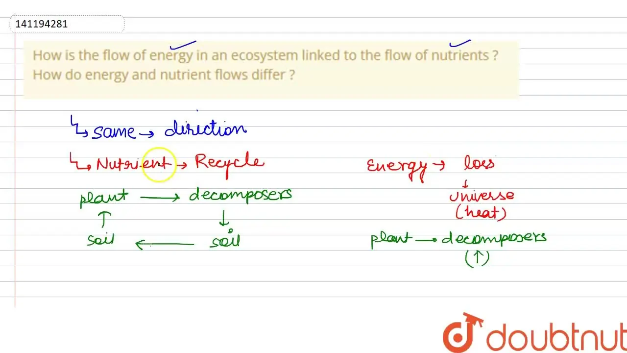 How Is The Flow Of Energy In An Ecosystem Linked To The Flow Of Nutrie