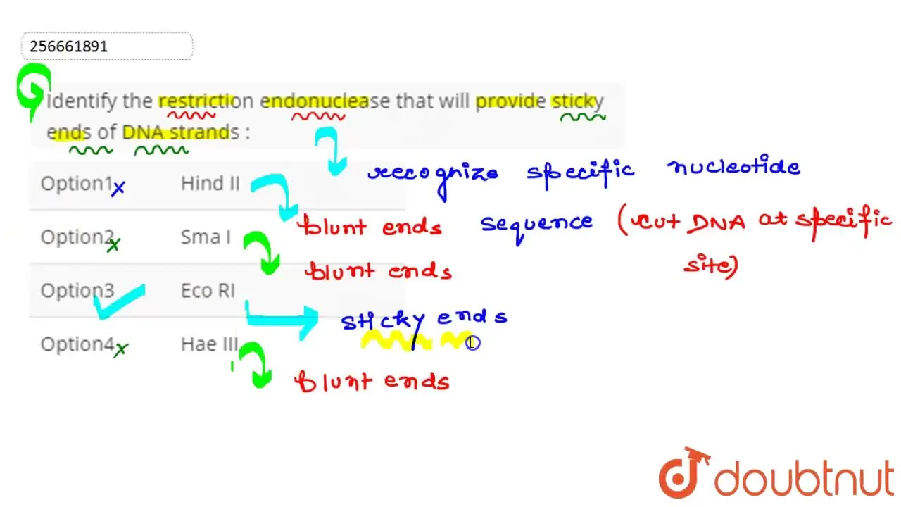 Identify The Restriction Endonuclease That Will Provide Sticky Ends Of