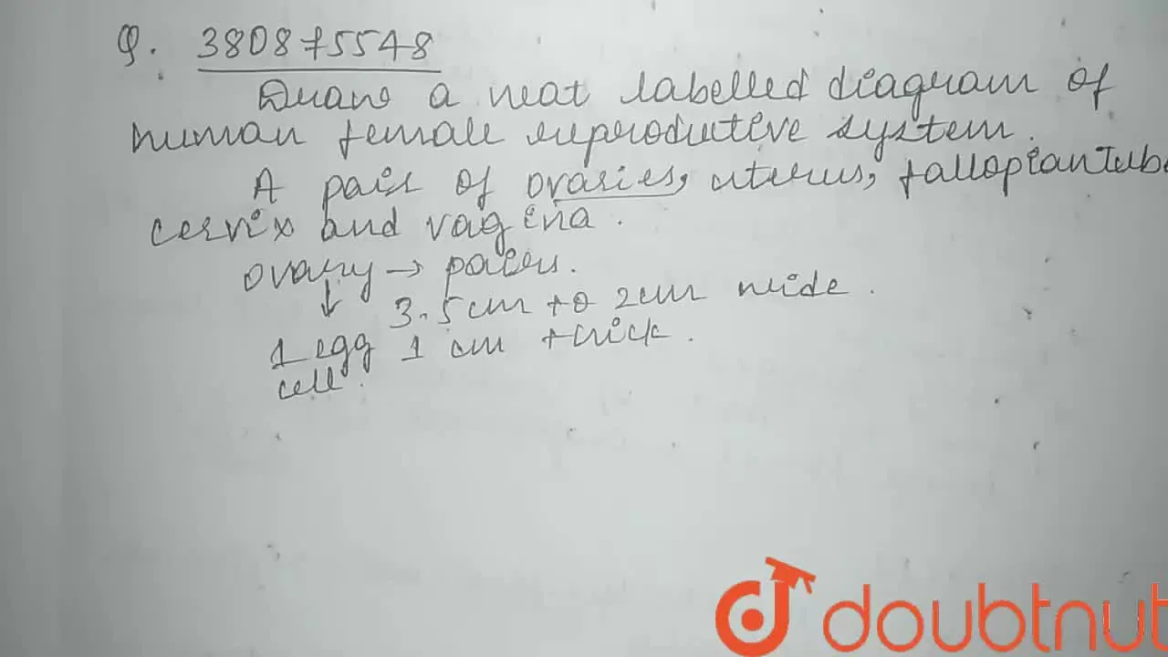 Kannada Solution Draw A Neat Labelled Diagrammatic Sectional View Of