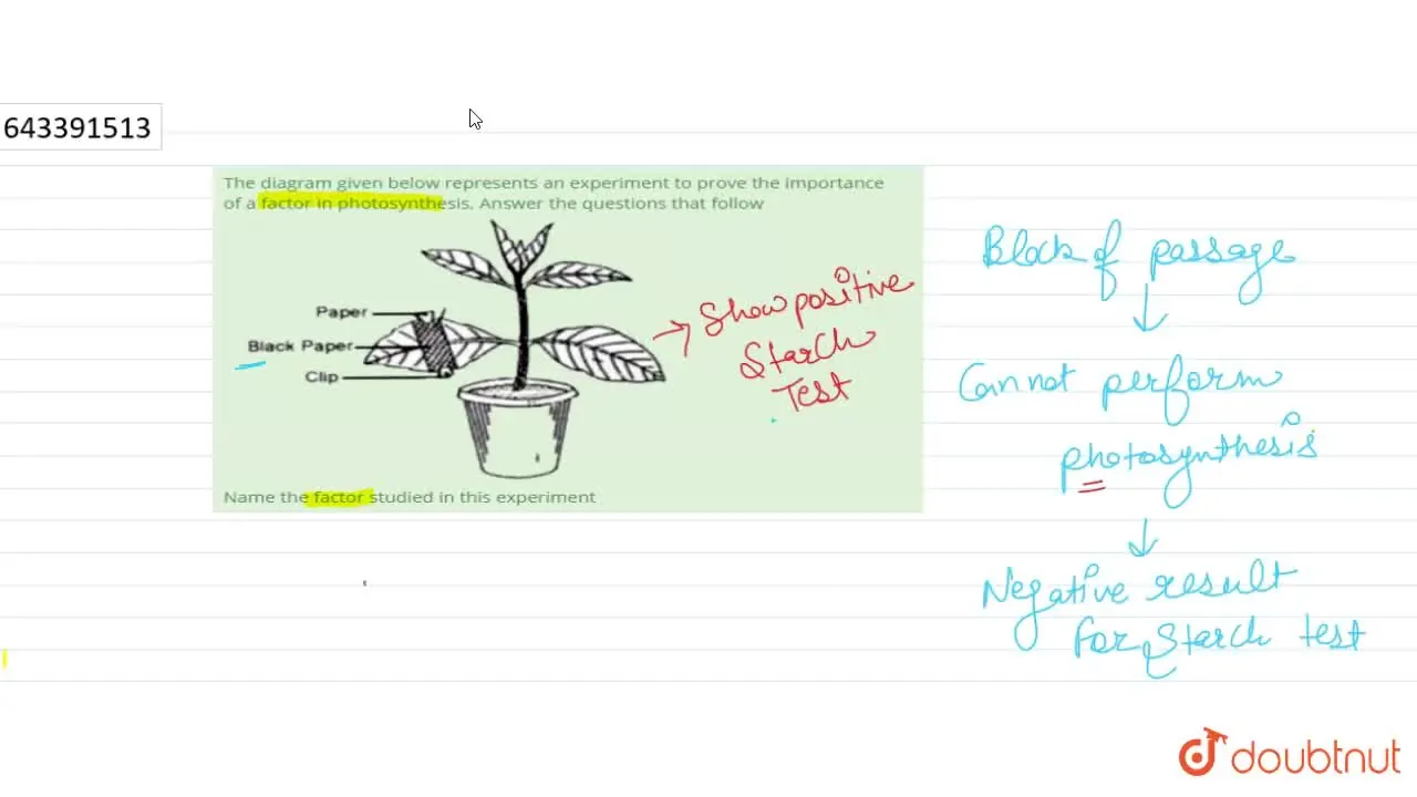 The Diagram Given Below Represents An Experiment To Prove The Importan