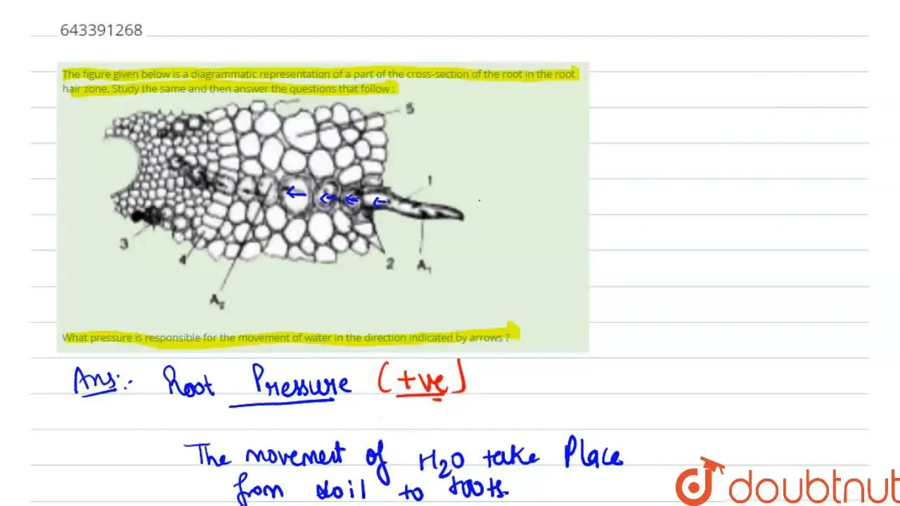 The Figure Given Below Is A Diagrammatic Representation Of A Part Of T