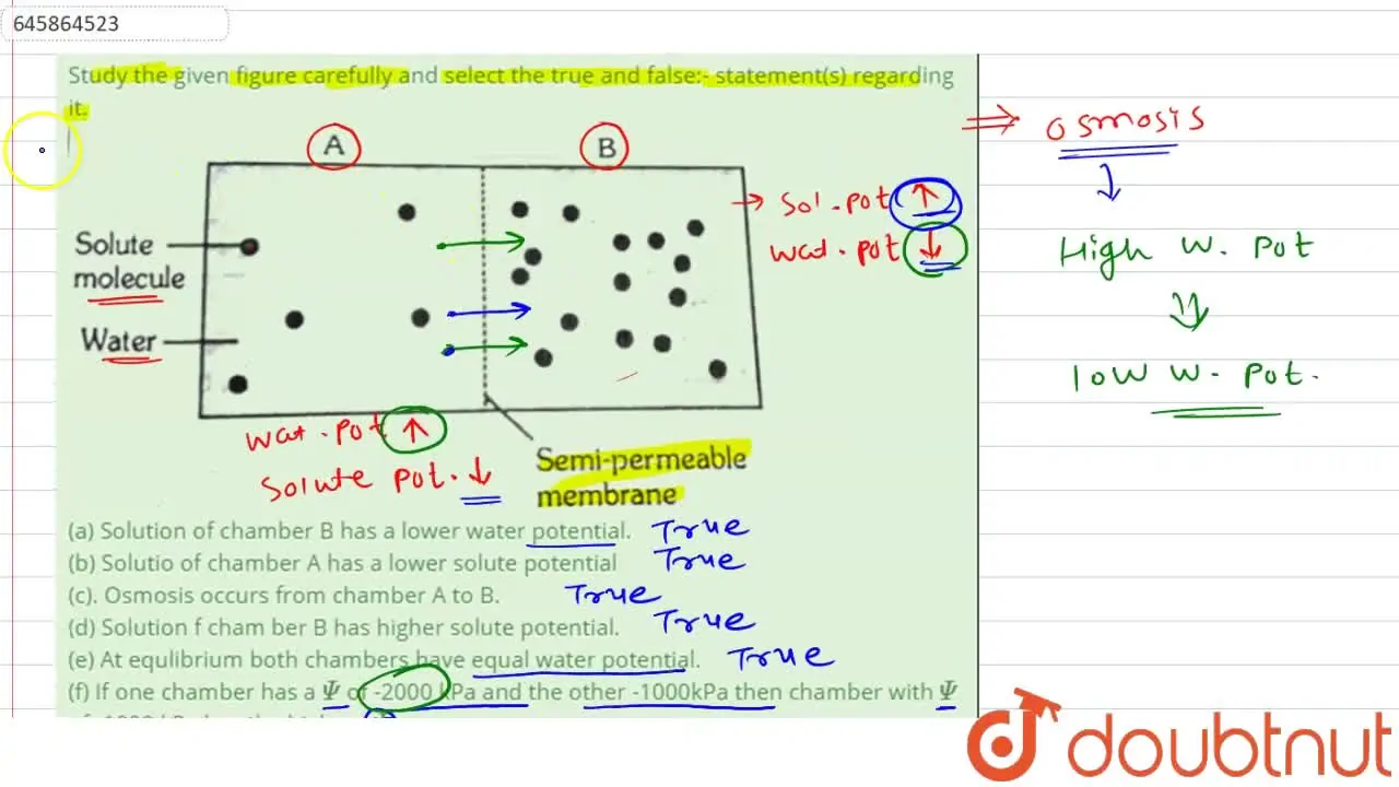 Gujrati Solution Study The Given Figure Carefully And Select The Tru