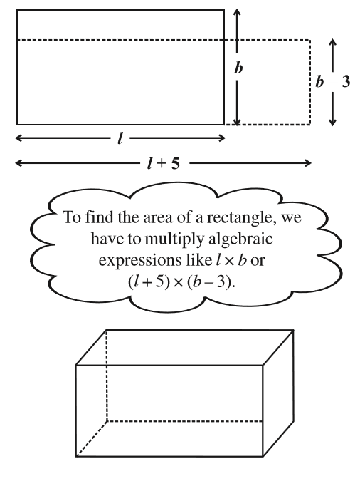 Algebraic Expressions And Identities Ncert Class 8 Maths