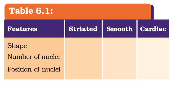 Tissues Ncert Class 9 Science