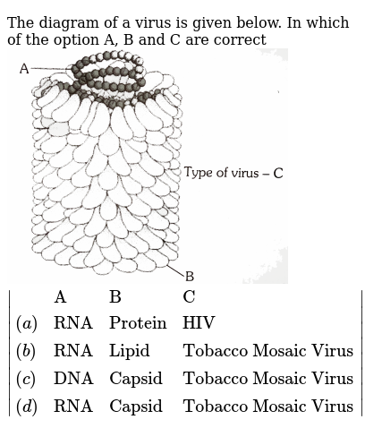 Tobacco Mosaic Virus Tmv Genome Is Cbse 1994 A Doubl