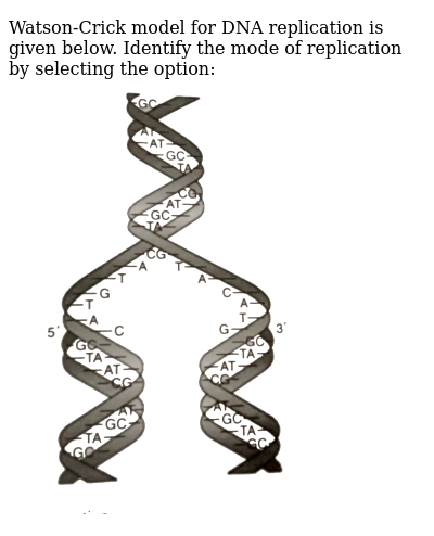 Watson Crick Model For Dna Replication Is Given Below Identify The Mode Of Replication By Selecting The Option Img Src D10lpgp6xz60nq Cloudfront Net Physics Images Grb Obj Bio Iind C54 E01 3 Q01 Png Width 80 Biology Q A Doubtnut