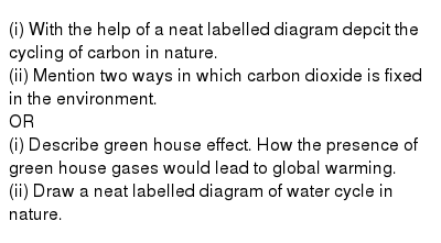 I With The Help Of A Neat Labelled Diagram Depcit The Cycling Of Carbon In Nature Ii Mention Two Ways In Which Carbon Dioxide Is Fixed In The Environment Or I Describe