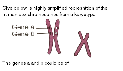 Name A Disorder Give The Karyotype And Write The Symptoms A Human