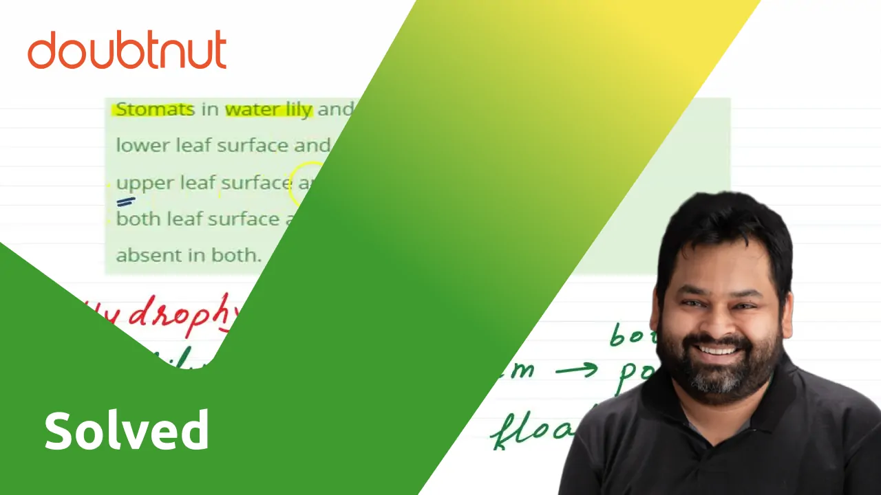 [Bengali Solution] Stomats in water lily and podostemon occur, respect