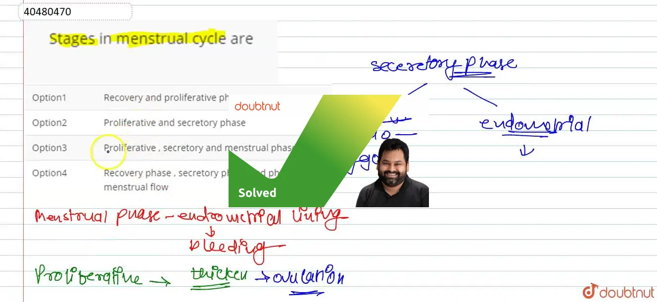 Proliferative, secretory and menstrual phase