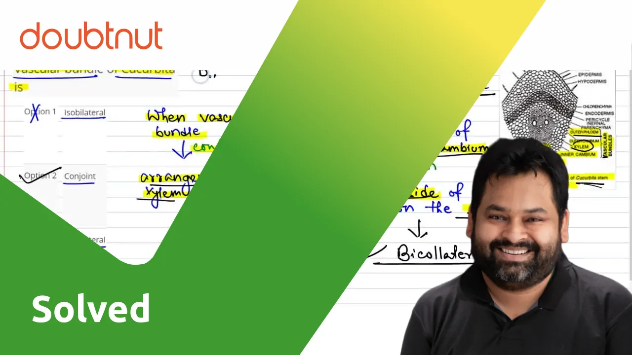 [Bengali Solution] Vascular bundle of Cucurbita is