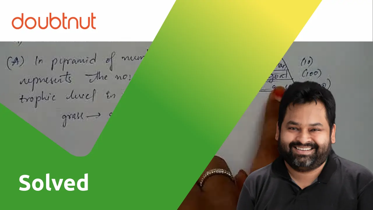 [Telugu Solution] What does each bar represent in a pyramid of number?