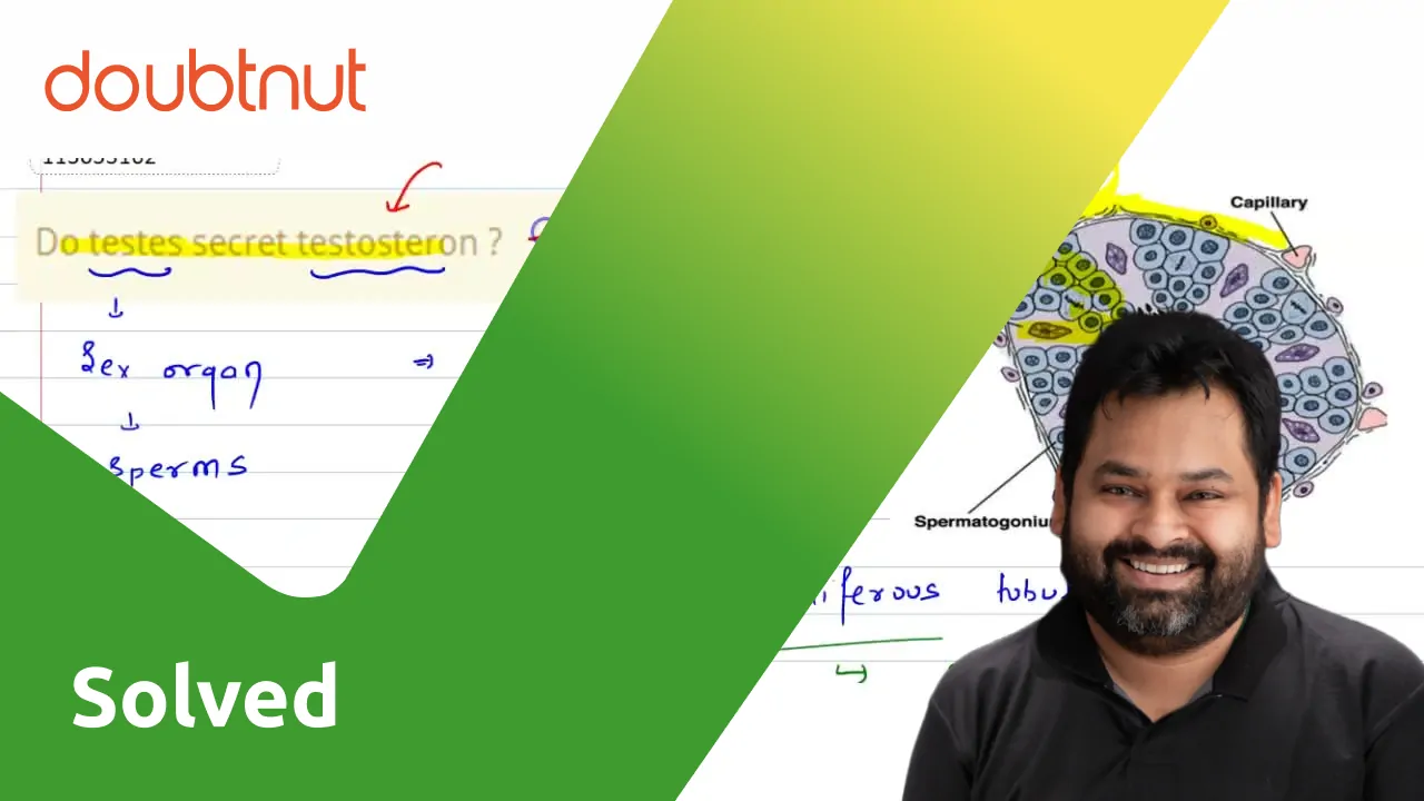 sex in the pillary State true of false? Do testes secret testosterone ?