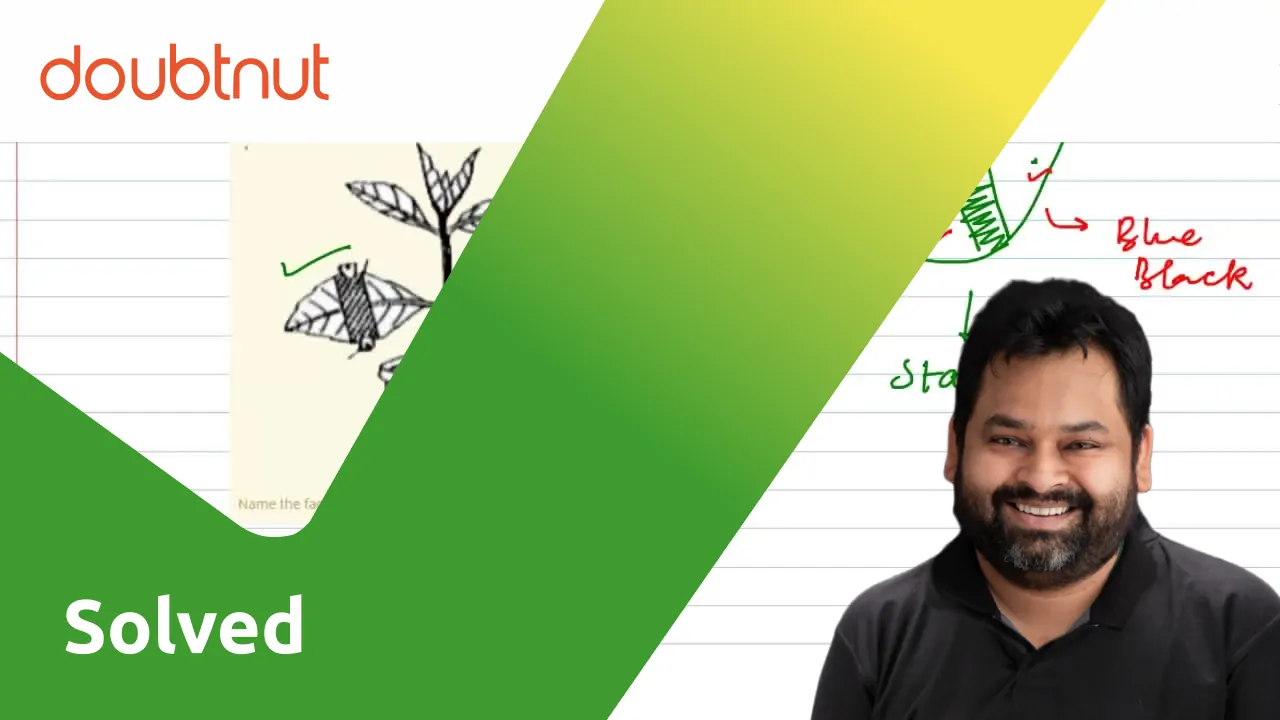 The diagram below represents an experiment conducted to prove the impo