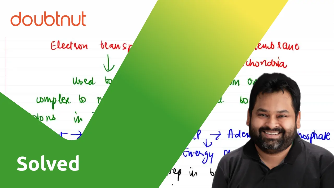 what-is-the-electron-transport-system-and-what-are-its-functions