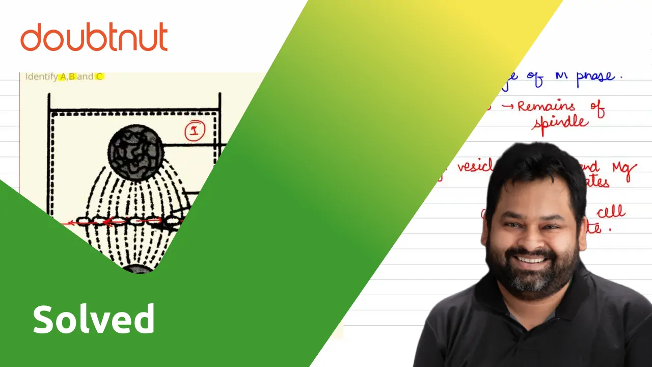 The given diagram depicts cell plate method of cytokinesis in plant ce