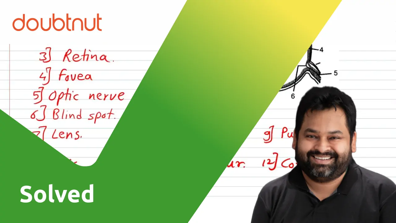 [Marathi Solution] Draw a neat labelled diagram of. Sectional view o