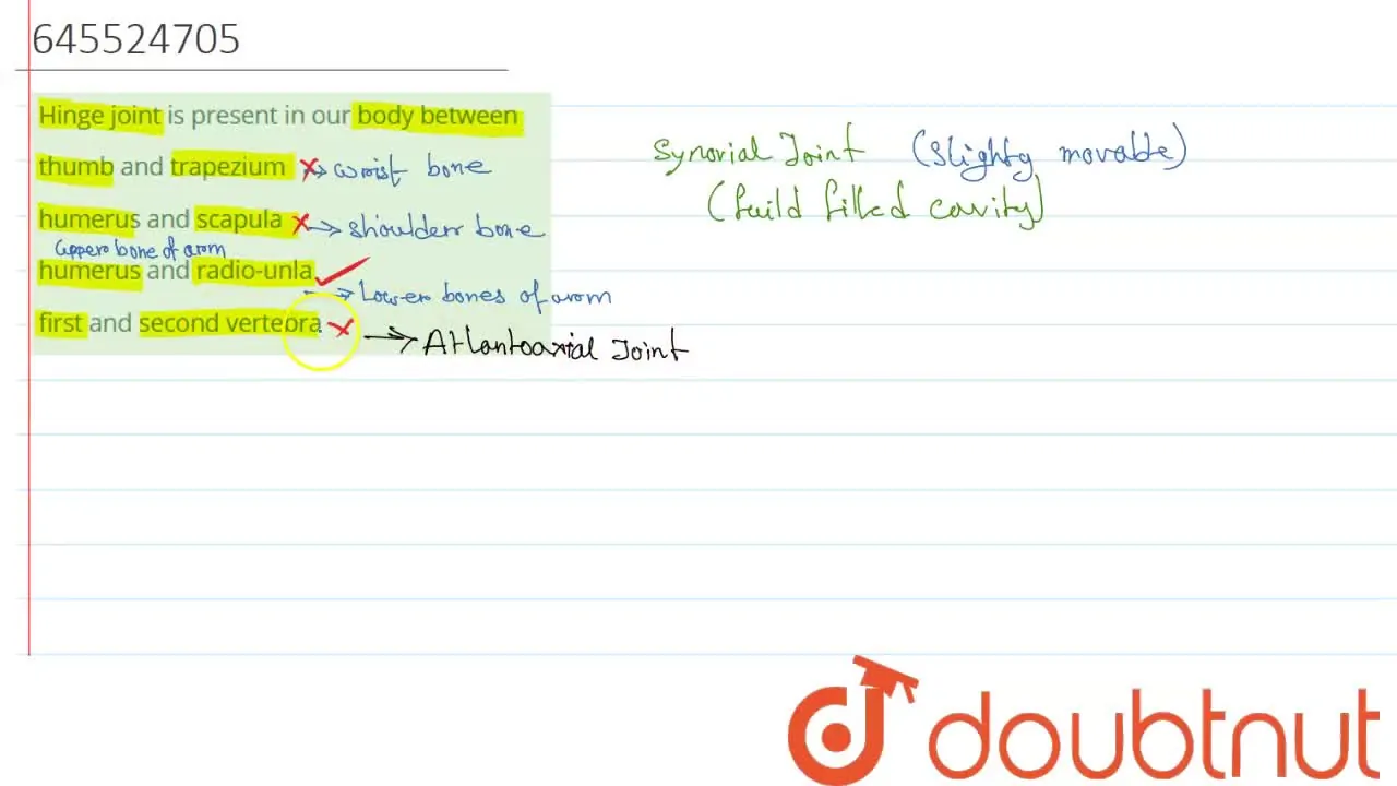 [Bengali Solution] Hinge joint is present in our body between