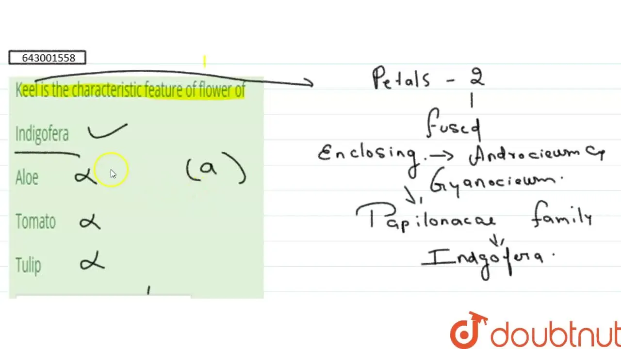 Keel is the characteristic feature of flower of