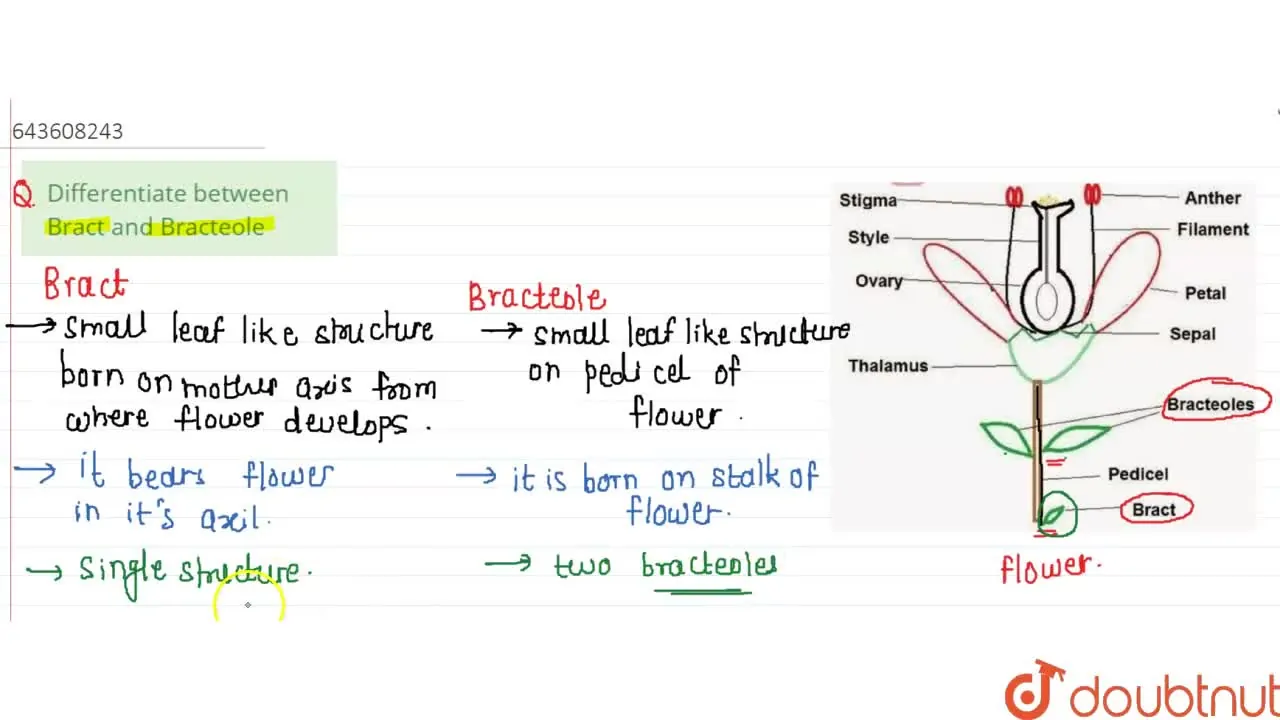 [Marathi Solution] Differentiate between Bract and Bracteole