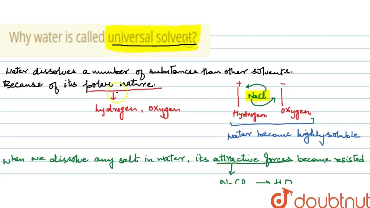 [Punjabi] Why water is called universal solvent?