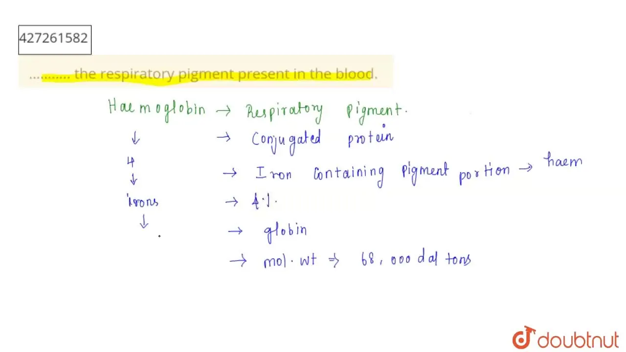 [Tamil Solution] ……….. the respiratory pigment present in the blood.