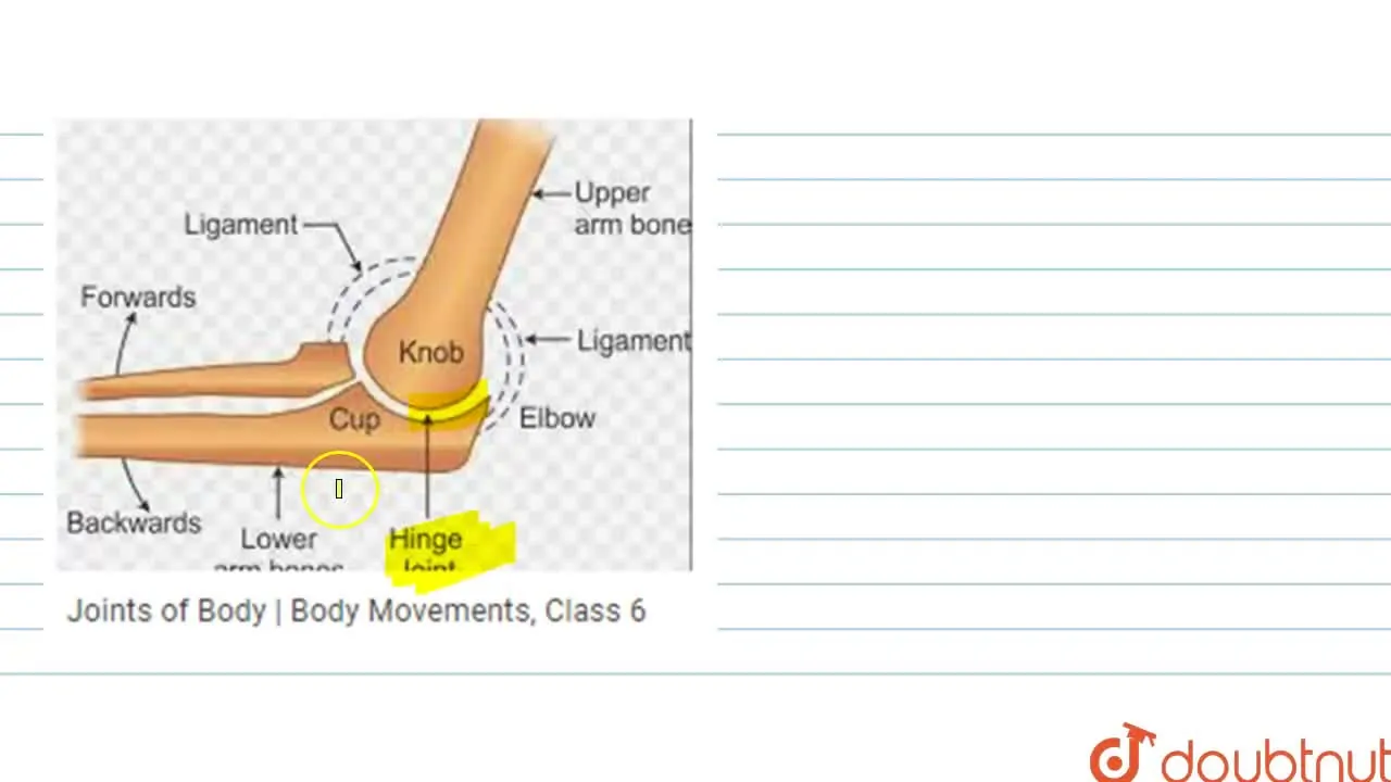 [Punjabi] Why our elbow cannot move in backward direction?