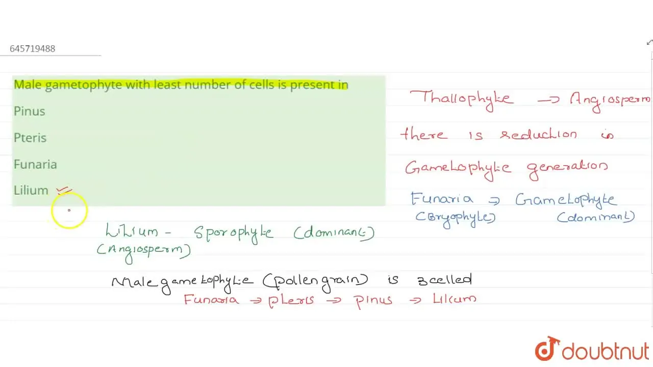 [Malayalam Solution] Male gametophyte with least number of cells is pr