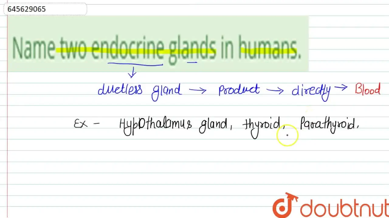 [Punjabi Solution] Name two endocrine glands in humans.