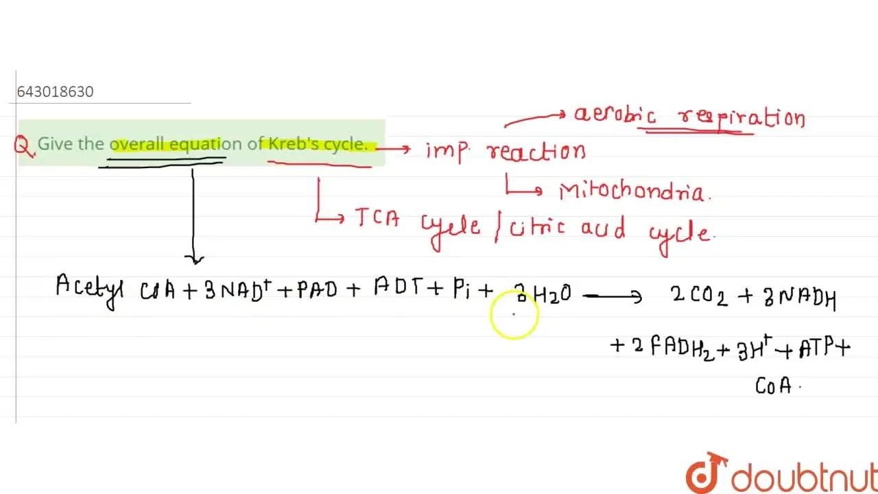 [Marathi Solution] Give the overall equation of Kreb's cycle.