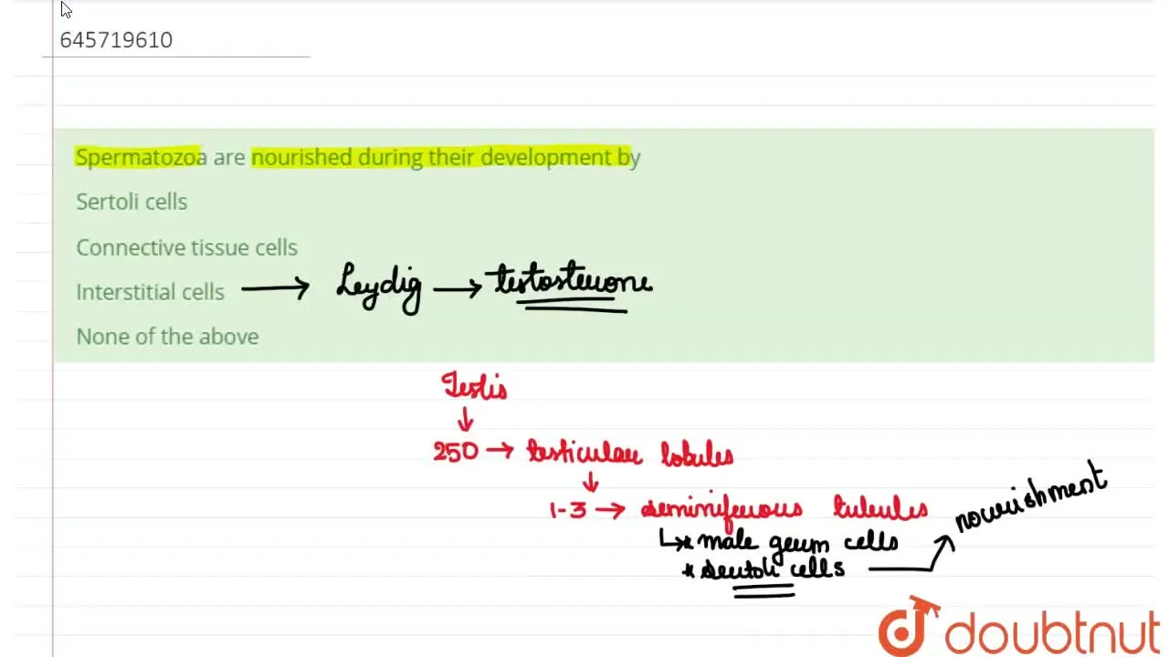 [Malayalam Solution] Spermatozoa are nourished during their developmen