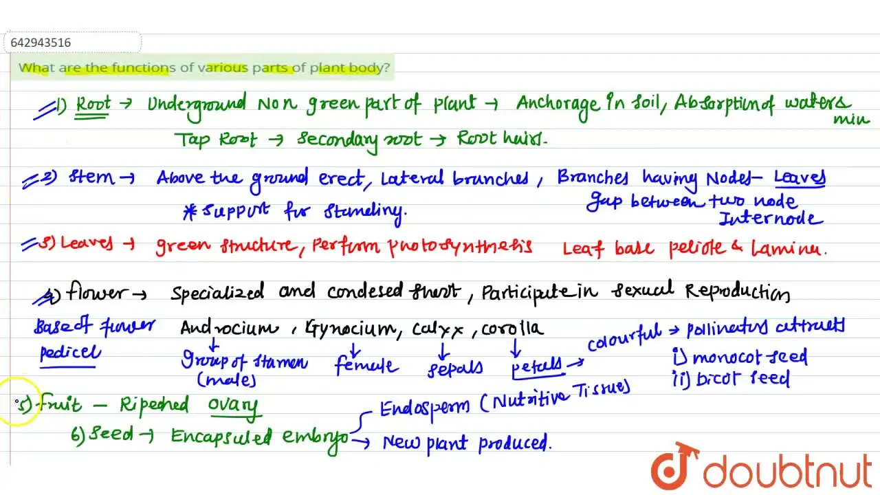 [Marathi Solution] What are the functions of various parts of plant bo