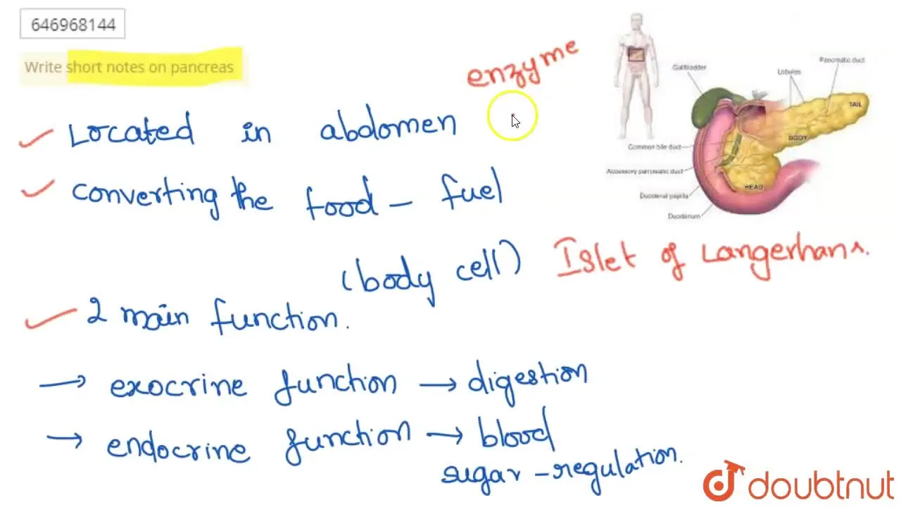[Tamil Solution] Write short notes on pancreas