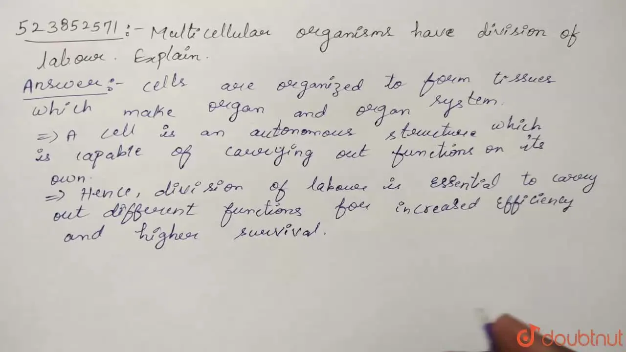 [telugu Solution] Multicellular Organisms Have Division Of Labour. Exp