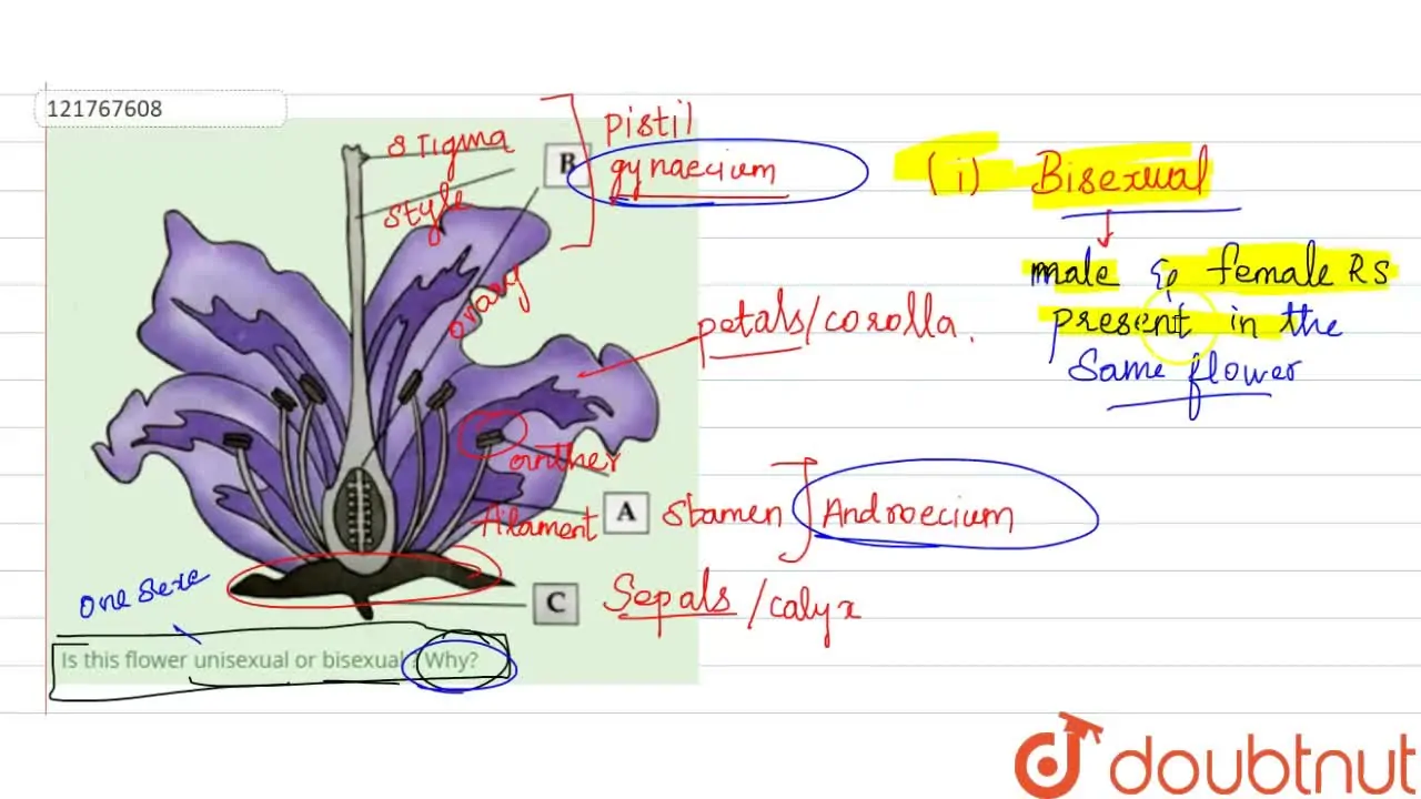 [Tamil Solution] Is this flower unisexual or bisexual ? Why?