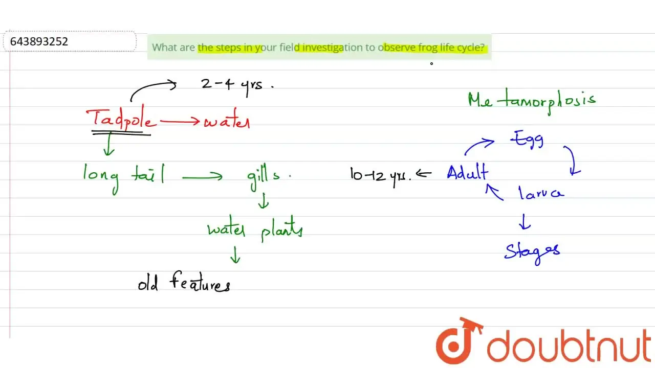 [Telugu Solution] What are the steps in your field investigation to ob