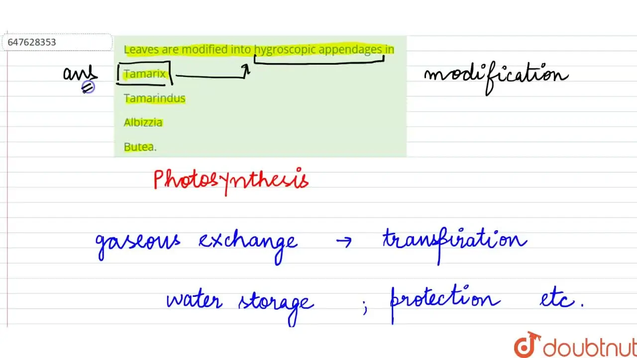 [Bengali Solution] Leaves are modified into hygroscopic appendages in