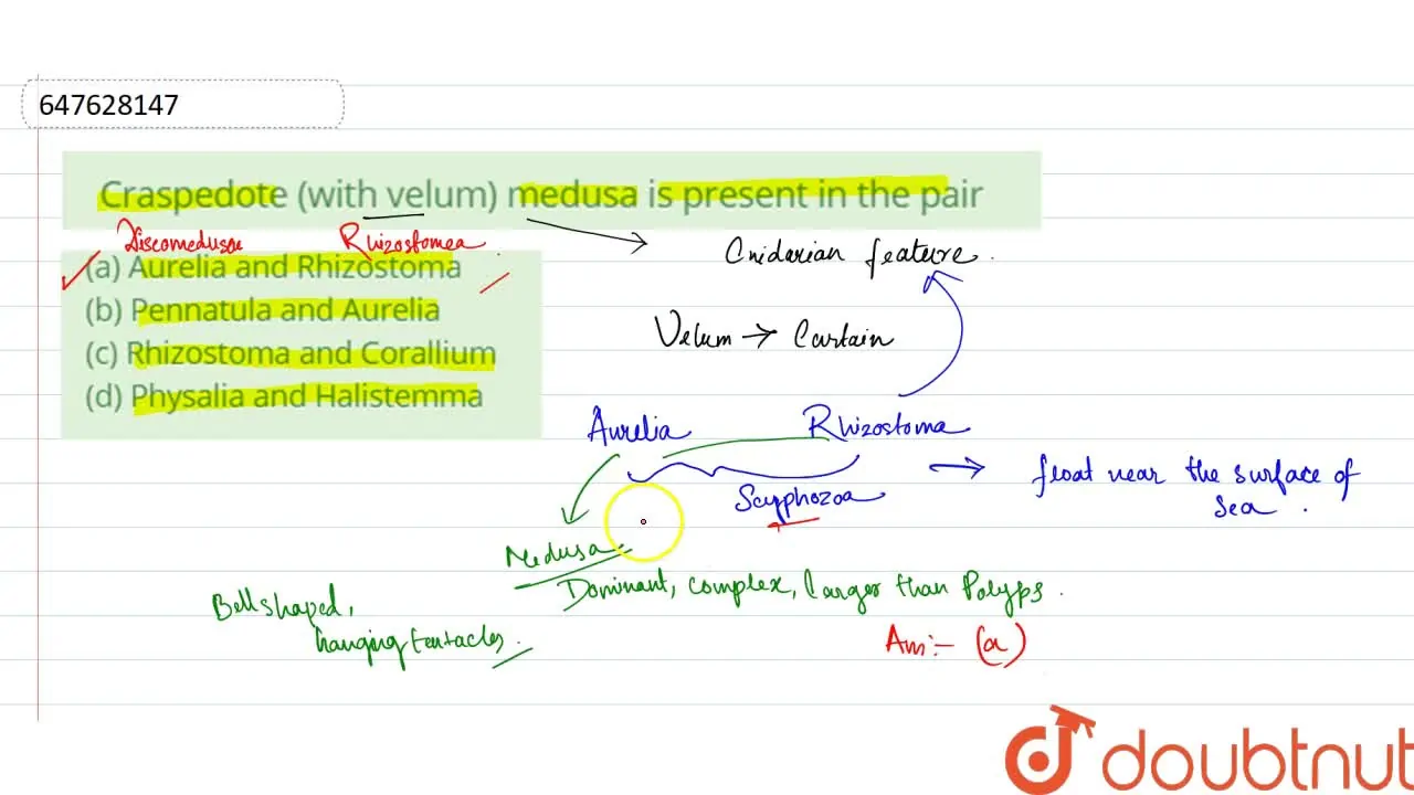 [Bengali Solution] Craspedote (with velum) medusa is present in the pa