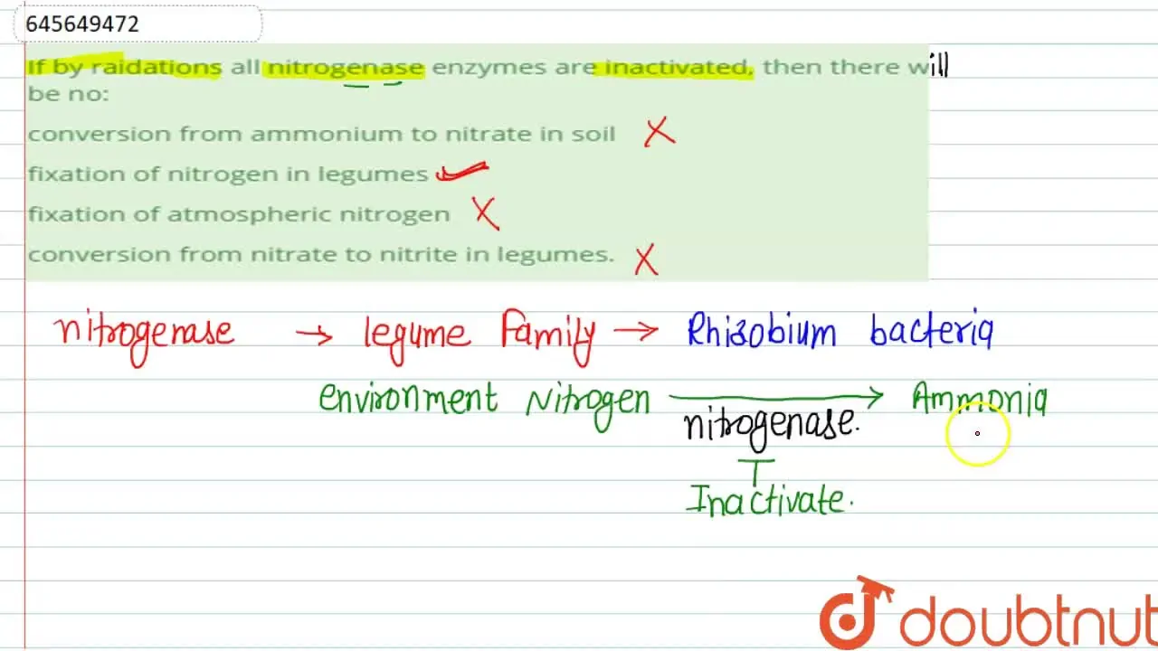 [Punjabi Solution] If by raidations all nitrogenase enzymes are inacti