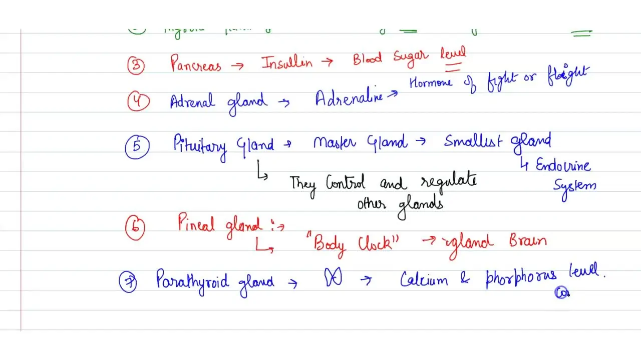 [Punjabi Solution] Describe various endocrine glands.