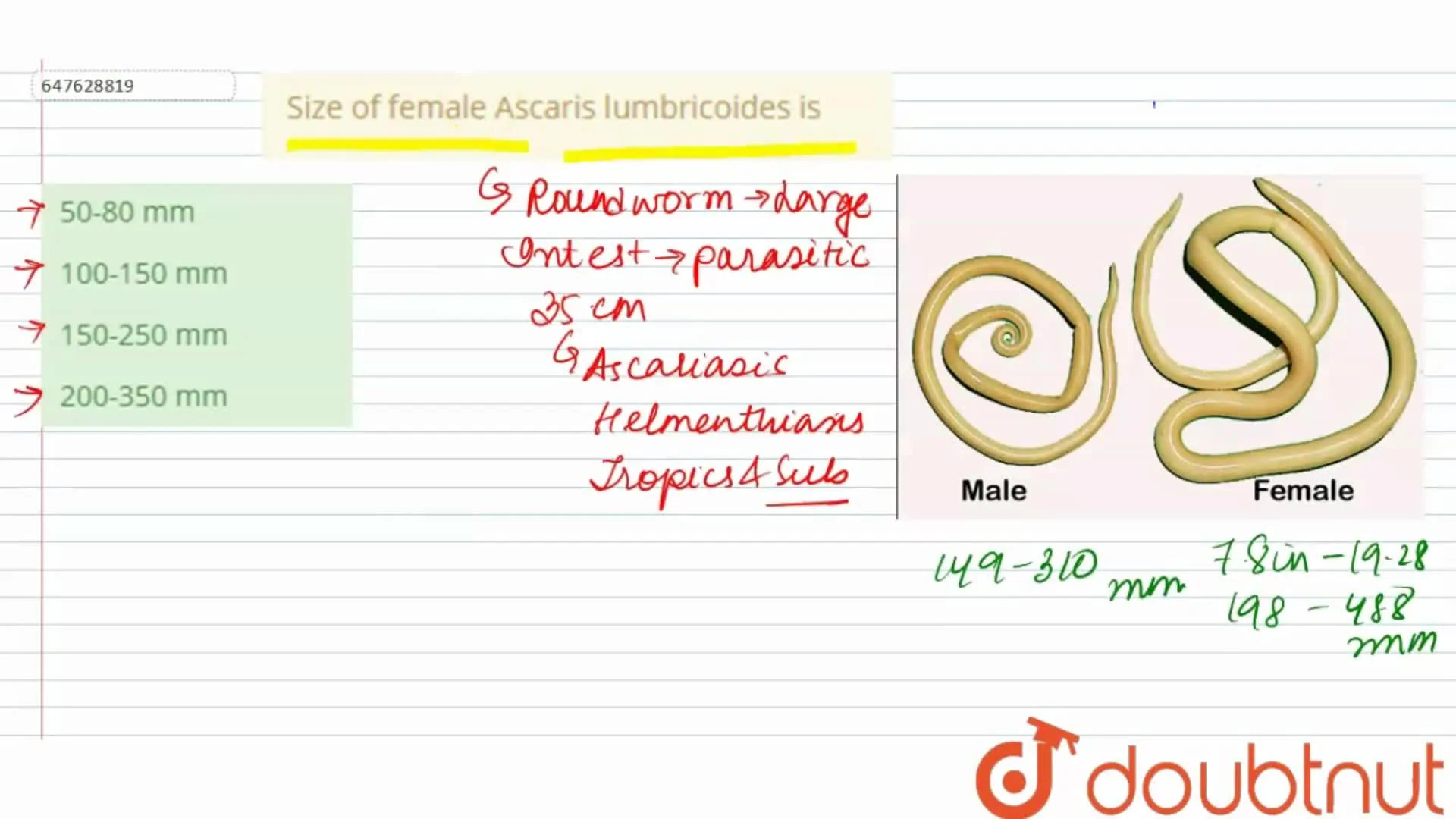 [Bengali Solution] Size of female Ascaris lumbricoides is