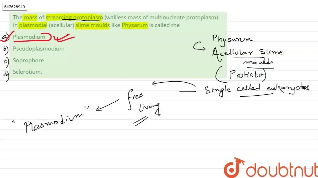 [Bengali Solution] The mass of streaming protoplasm (wallless mass of