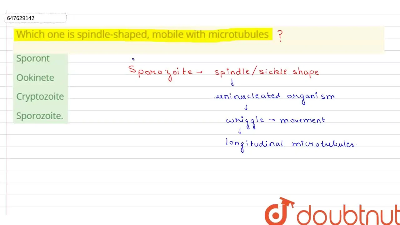 [Bengali Solution] Which one is spindleshaped, mobile with microtubul