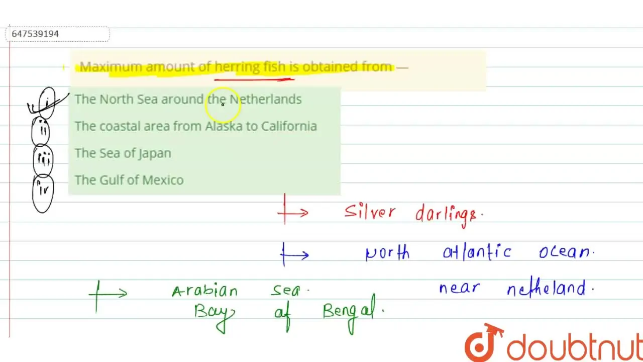 Maximum amount of herring fish is obtained from