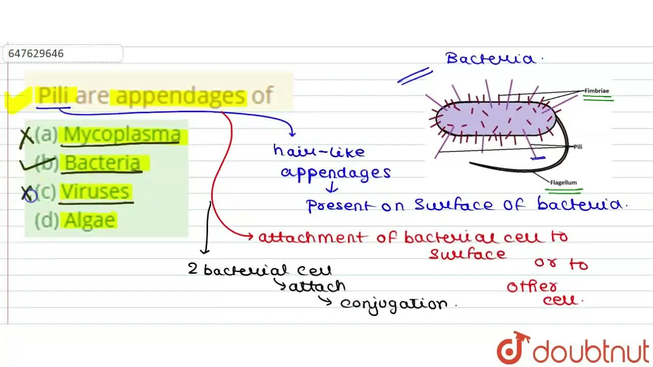 [Bengali Solution] Pili are appendages of (a) Mycoplasma (b) Bacter