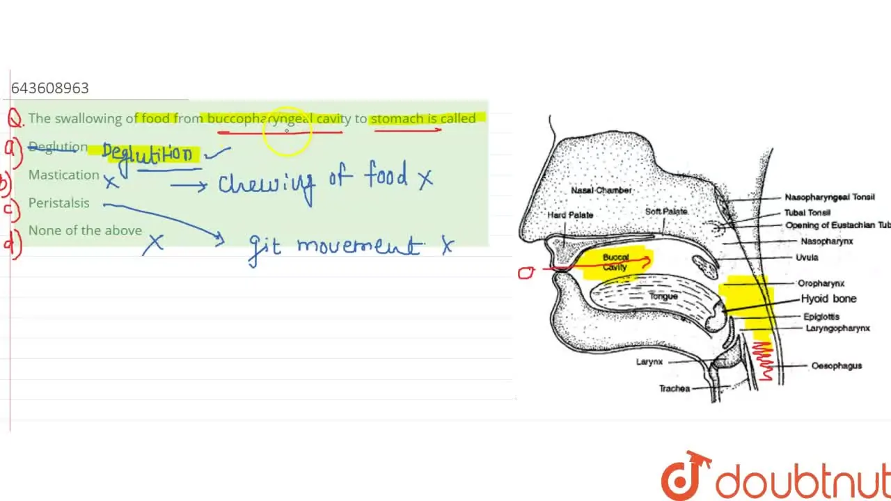 [Marathi Solution] The swallowing of food from buccopharyngeal cavity