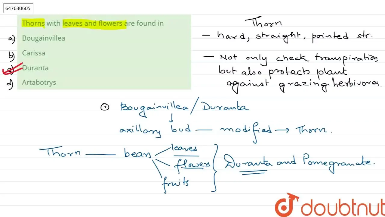 [Bengali Solution] Thorns with leaves and flowers are found in
